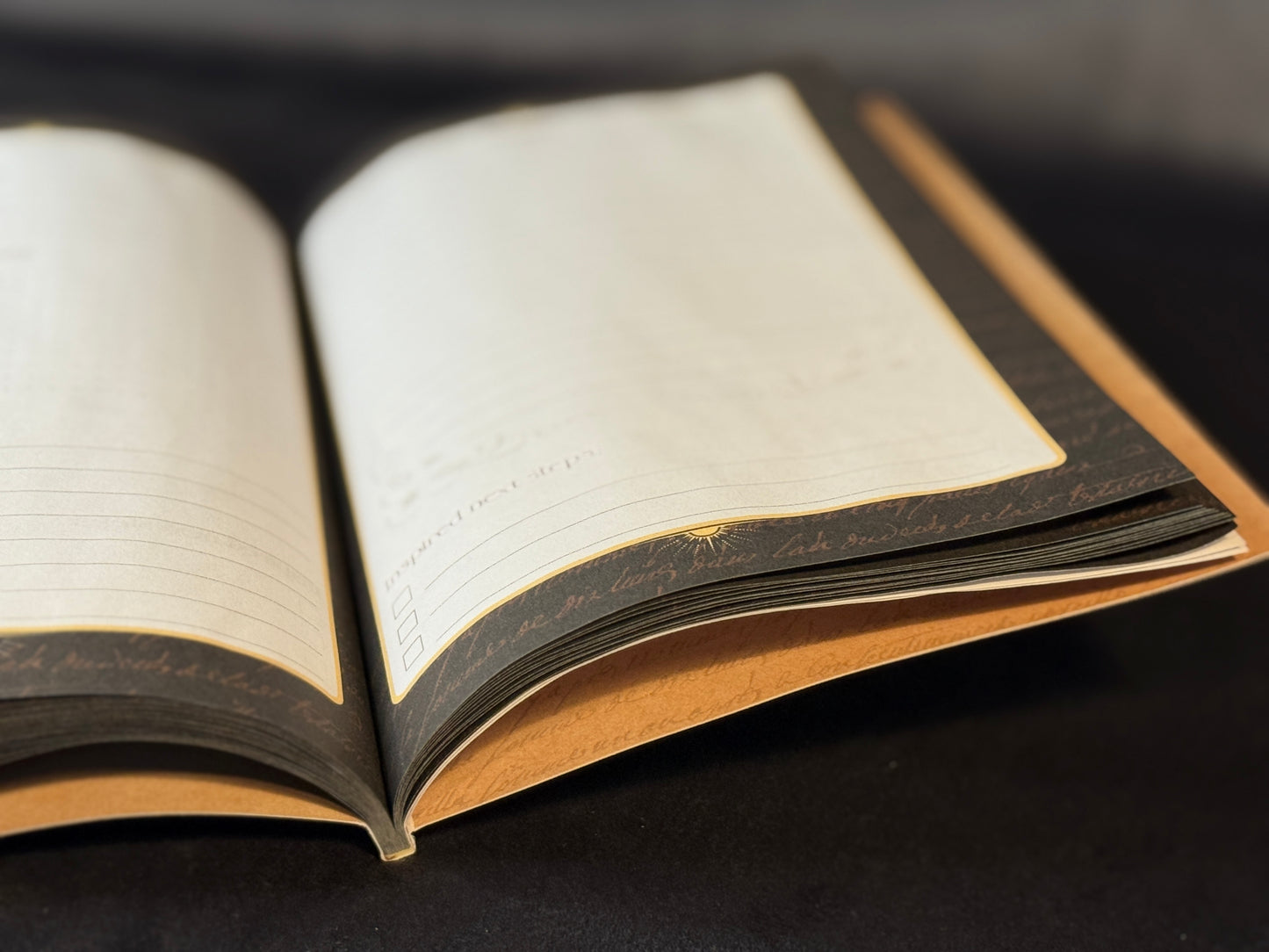 “The Magic Spell of a Book” Companion Notebook Set