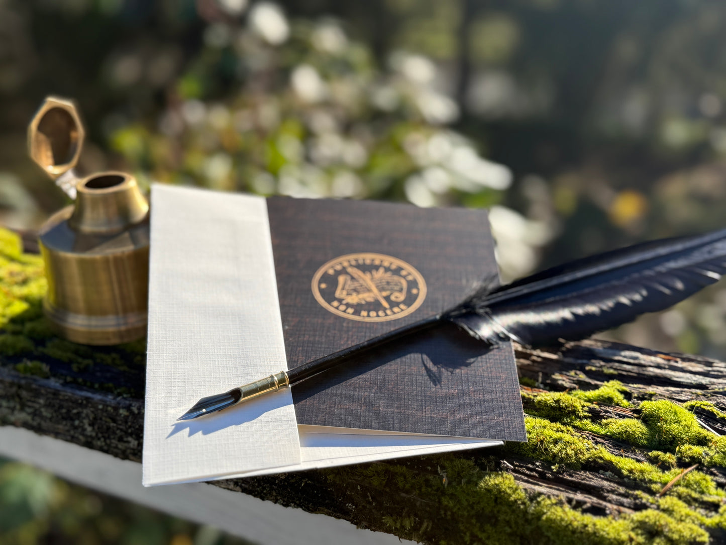 “Publicare et Non Nocere” Linen Greeting Cards ~ set of 2