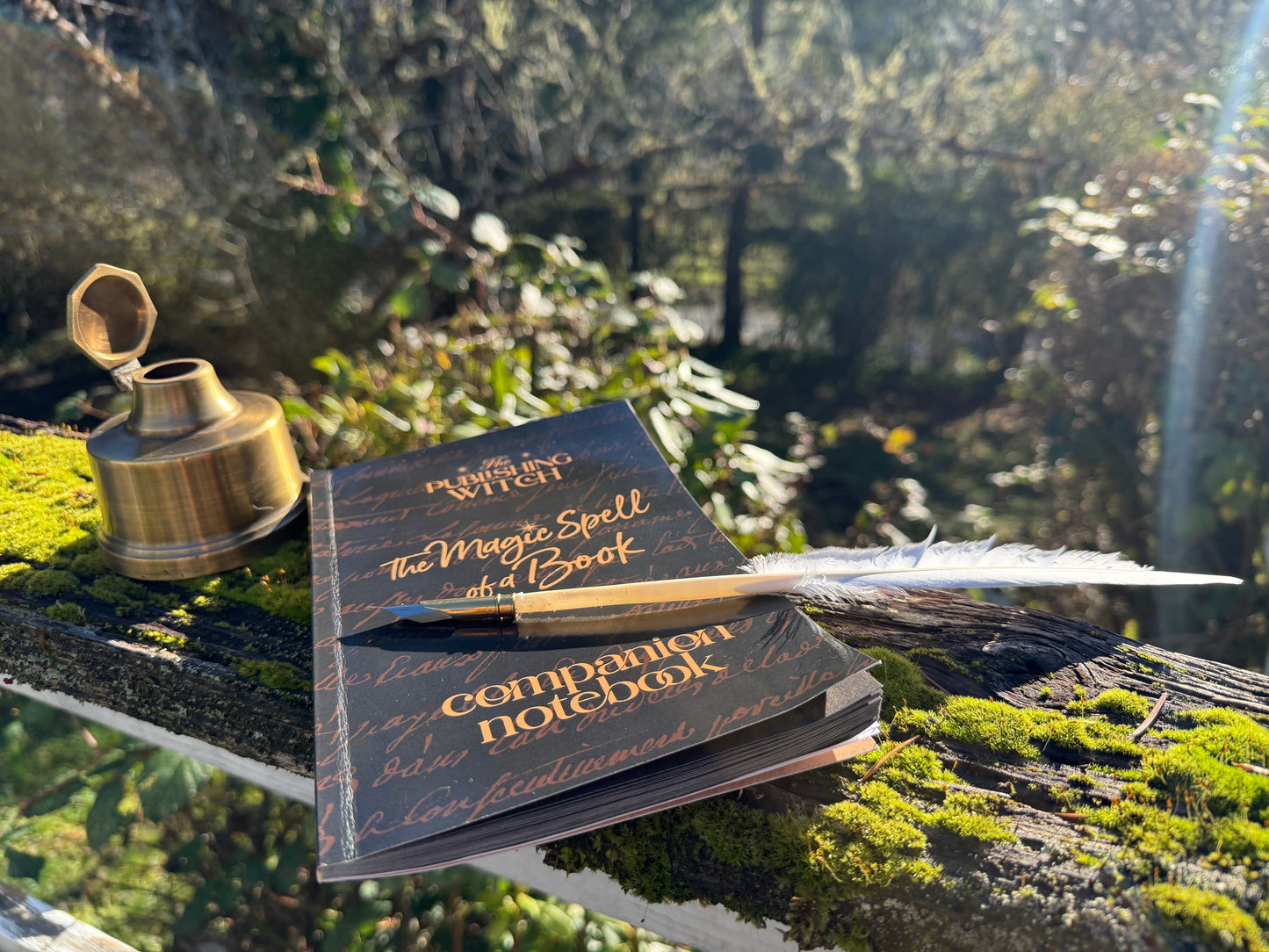 “The Magic Spell of a Book” Companion Notebook Set